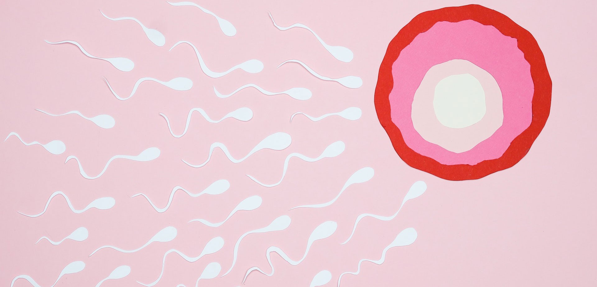 Qual è la normale quantità di sperma per concepire un bambino.
